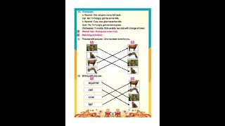 The cat and the squirrel lesson 3 activities! my English book class 3