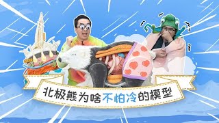 皮肤是黑的毛是透明的？北极熊都藏了哪些过冬秘籍？结尾有惊喜！