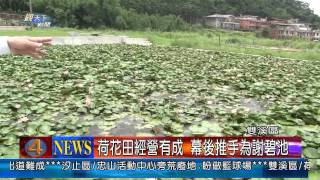 1020626觀天下新聞08 雙溪區荷花田經營有成 幕後推手為謝碧池