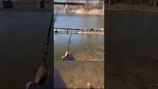 Smallmouth in the Wind #smallmouthbassfishing #riverfishing #finessefishing