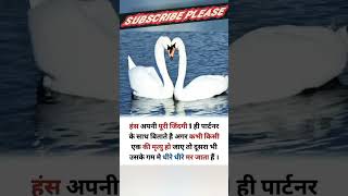 #gkinhindi #gk #topgk #gkshorts #gktoday #treandinggk #gkviralvideo #viral #short #shorts #ytshorts