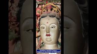 B47 #buddhastatue