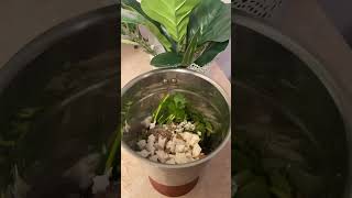 Karnataka style sambar #ytshorts #cooking #sambar #sambarrecipe #karnataka #heritage #india #ireland
