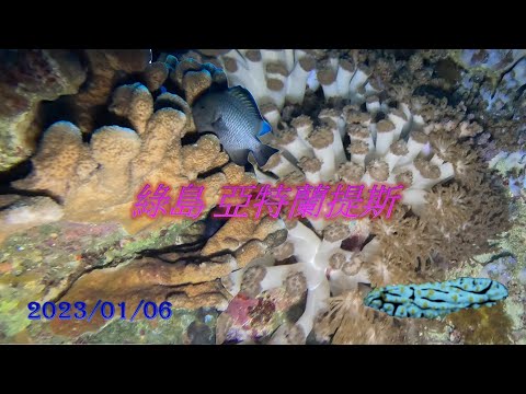 2023年初第一潛/綠島 亞特蘭提斯/冬天水肺潛水