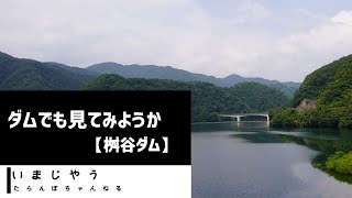 今庄のダムでも見てみようか【桝谷ダム】