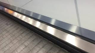 Walmart Movator (Square One) (Not Scarborough Town Centre)
