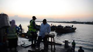 Fishing Port, Dar es Salaam at dawn (Tanzania) (Octopus)
