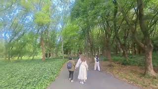 享受大阪城公園芬多精#美景