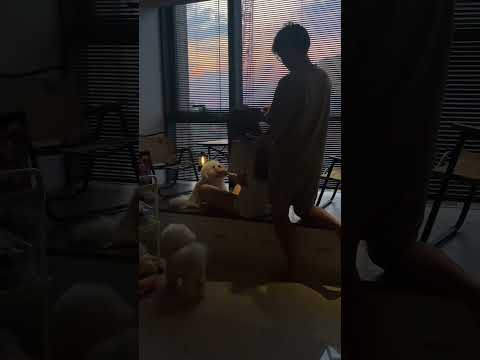 我给你吹头发，你吹着小狗，这就是生活简单的模样生活碎片