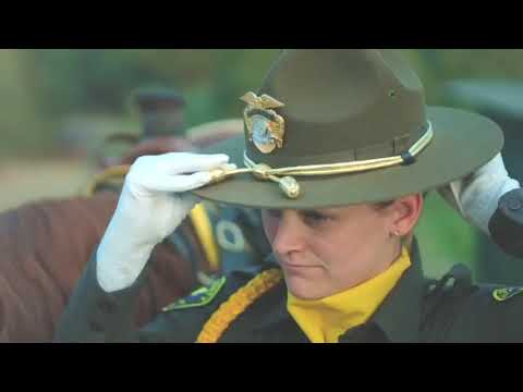 Many Hats, One Badge