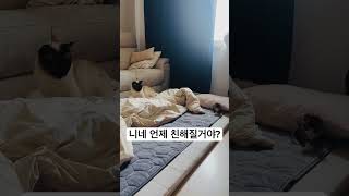 아직 좀 어색한 사이🙃