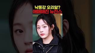 왜 싸운거지? 낙동강 오리알된 뉴진스 멤버들?