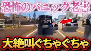 【ドラレコ】ヤバすぎる老害のせいで大惨事に…現場に絶叫が響いた結果…衝撃ドラレコ映像55連発！迷惑運転まとめ【作業用】【交通安全、危険予知トレーニング】