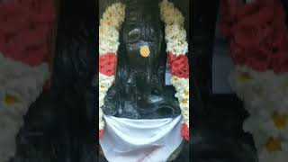 குரு தட்சிணாமூர்த்தி தனி சன்னதி#குருபெயர்ச்சிபலன்#காஞ்சிபுரம் #shortsfeed#shorts