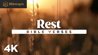 Bible Verses for Rest | 4K | 22 Minutes | 90+ Scriptures | Audio Bible + Music