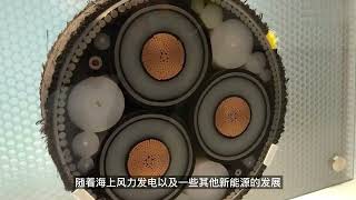 每米高达上万元，海底电缆为何这么贵？看看制造和安装过程就懂了