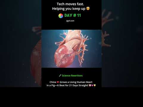 🫀 A Mini Human Heart… Grown Inside a Pig? 😳
