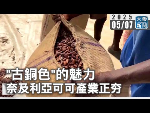 "古銅色"的魅力 奈及利亞可可產業正夯｜大愛新聞 @DaaiWorldNews