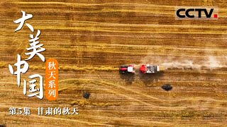 《大美中国·秋天系列》第5集 原本为了防止大漠风沙 没想成就了一幅最美秋天！甘肃万亩胡杨换上“秋装” 沙漠成了一片金色海洋【CCTV纪录】