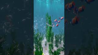 Toenail Island in Sea 😱 Unknown Facts #shorts #facts #factsvideo           .