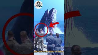 Army Watch the Beauty of Whale! You Won't Believe What Happens! #amazing #movie