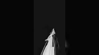 Spider Web Black Screen Effect | Black Screen Spider Web Effect