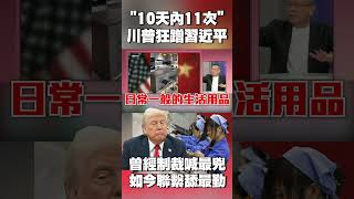川普狂蹭習近平！「10天內11次」曾經制裁喊最兇如今聯繫舔最勤 #獨家觀點 #環球大戰線 @globalvisiontalk