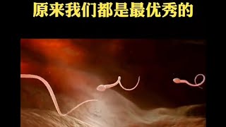 精子与卵子结合，人体秘密，原来我们是最优秀的#智慧 #智慧共享 #认知 #人生智慧 #知识科普 #知识