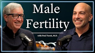 351 ‒ Male fertility: optimizing reproductive health, treating infertility, & navigating TRT