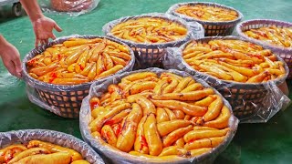 3000隻烏魚瀑布！驚人的烏魚子製作, 酒燒烏魚子, 烏魚子炒飯/竹魚水產九降風烏魚子專家/Amazing Mullet Cutting Skills, Fish Roe Making