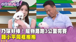 廣告時間》 #狠狠抖內幕 乃球好棒！寵物路跑3公里完賽　鍾小平同框抱抱