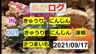 【ぬか漬け記録 21/09/17 】　にんじん  蓮根  きゅうり  さつまいも