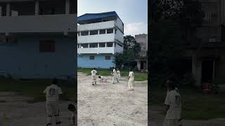 Batting basic skill for biggner