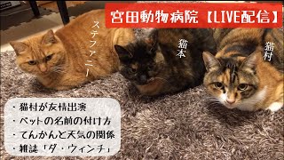 宮田動物病院 ライブ配信【MAHチャンネル】