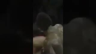 Mohammad Ali Dodges 21 punches in 10 seconds