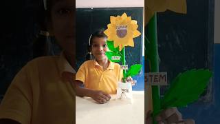 Science Exhibition🏆Parts of a plant#scienceexperiment #scienceexhibitionprojectclass #partsofaplant