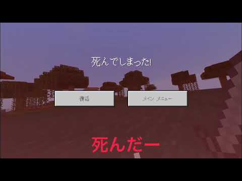 トイクラ#22