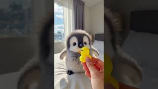 #Shorts #CutePets #FunnyPetVideos #ViralPets #AdorableAnimals #PetShorts #SubscribeNow Like &comment