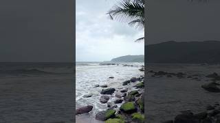 Cola beach view 🏝️ #goa #beach #goabeach #colabeach