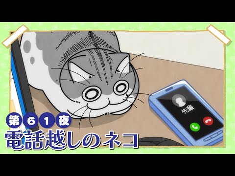 アニメ『夜は猫といっしょ』第61夜「電話越しのネコ」