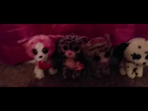 BeanieTeenie's intro
