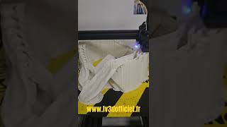WANHAO D12 500 PRO MAX DUPLICATOR ! #imprimante3d #impression3d #lv3d