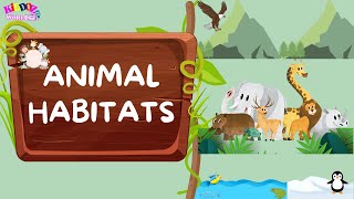 Animal Habitats | Animal Homes | Animals video for kids #animals