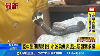 家中出現眼鏡蛇! 小姊弟急奔派出所報案求援│記者 古芙仙 黃啟超│新聞一把抓20250720│三立新聞台