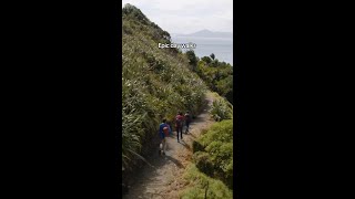 Epic short walks of New Zealand!