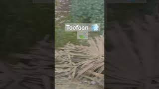 Toofaan 💨🍃 #toofankgf2 #windy #amvsong  #music #ytviral #shorts