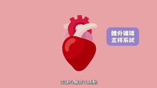 奇美醫院 【複雜性冠狀動脈心臟病的治療選擇】