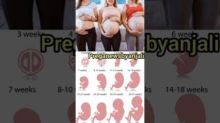 Continuous Baby Developing in mom's womb week by week pregnancy ❤️#shortvideo #pregnancy #cutebaby