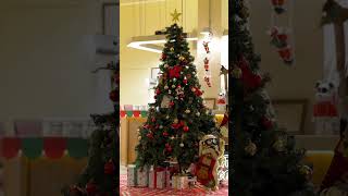 Capture Stunning Christmas Moments with SIRUI Lens: Anamorphics, AF and Macro Cine