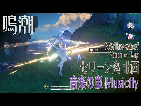 【鳴潮】音楽の蛍/リナシータ/セリーン湾北西 [Musicfly,Northwest of Serene Bay,Rinascita,Riccioli Islands,WUWA,38638]